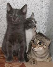 Sissy und Geschwister