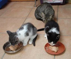 Sissy und Geschwister