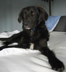 Vincenzo