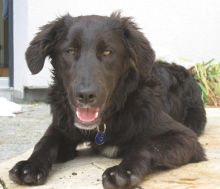 Vincenzo