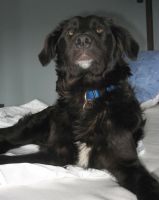 Vincenzo