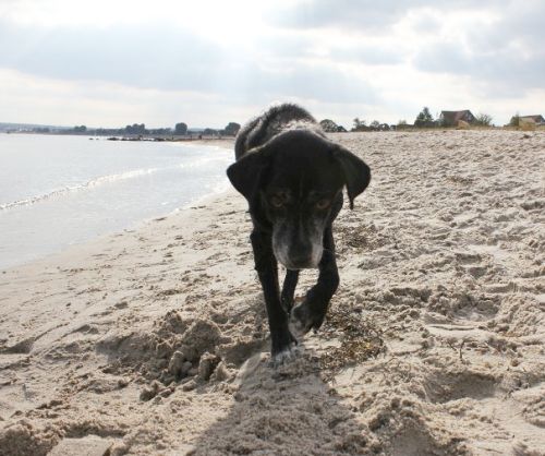 Amos an der Ostsee