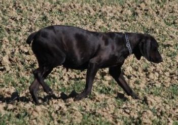 an der Landstra&szlig;e