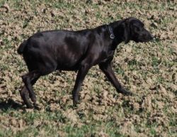 an der Landstra&szlig;e