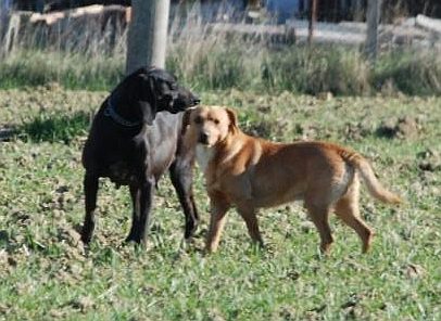 an der Landstra&szlig;e