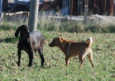 an der Landstra&szlig;e