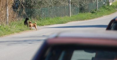 an der Landstra&szlig;e