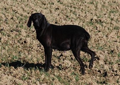 an der Landstra&szlig;e