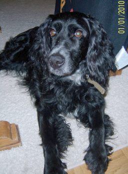Charly