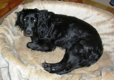 Charly
