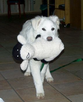 Greta