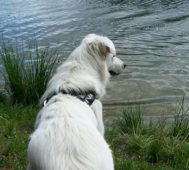 Greta