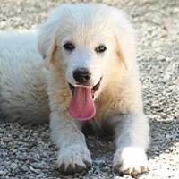 Marilyn