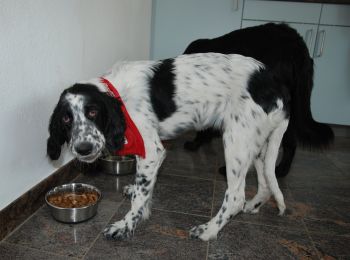 Spotty