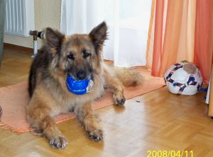 Zanna