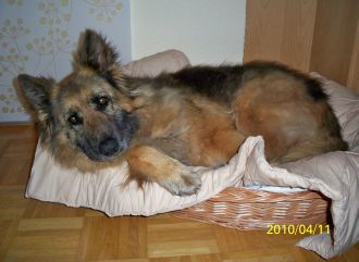 Zanna