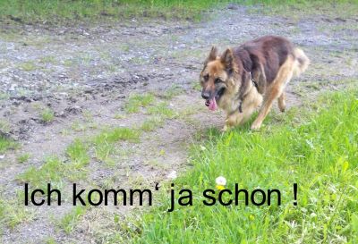 Zanna