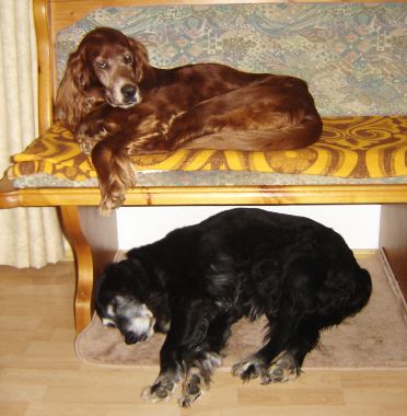 Valentina und Cassandra