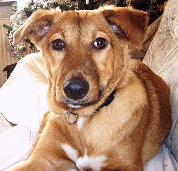 Heidi