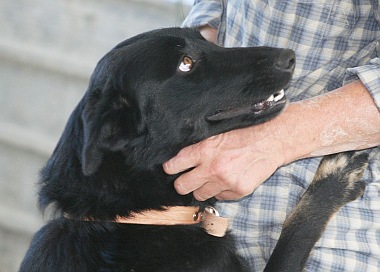 Itala