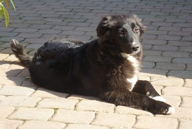 Lola
