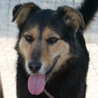 Matteo