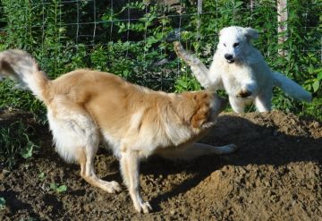 Nara und Takeo