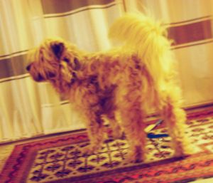 Clemente