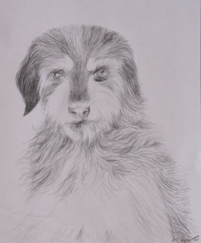 Fim von Karin Bufe gezeichnet