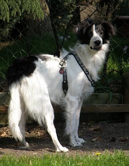 Krümel