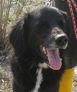 Nena