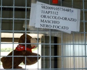 Oracolo