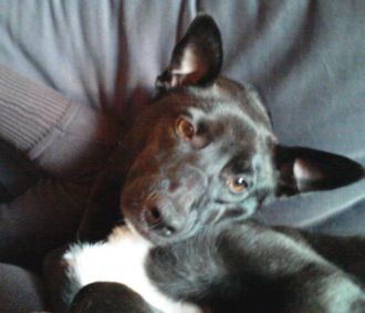 Tascha