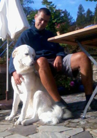 Tellina