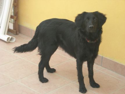 Jenny