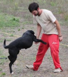 Labby