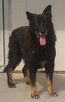Moro