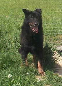 Moro