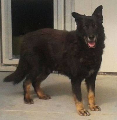 Moro