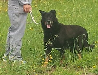 Moro
