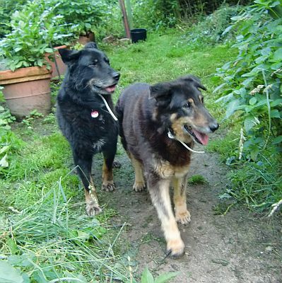Moro und Afra