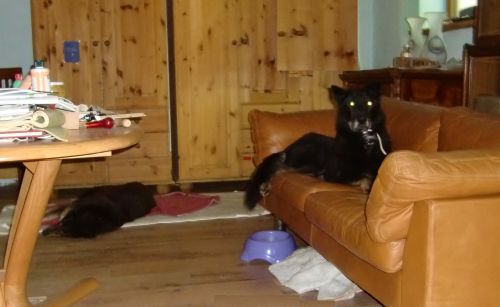 Moro und Afra