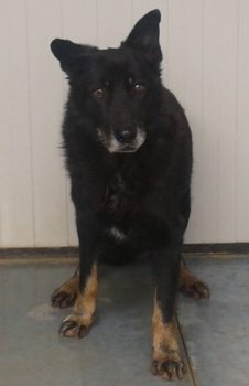 Moro