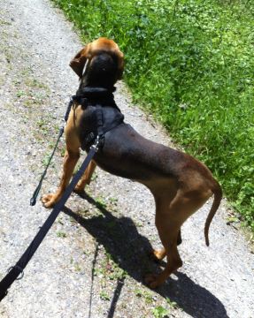 Paolo