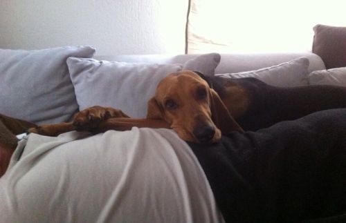 Paolo