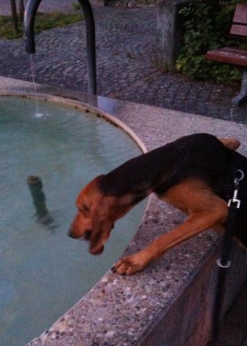 Paolo