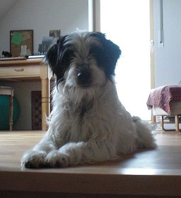Romeo