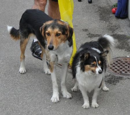 Samuel und Desi
