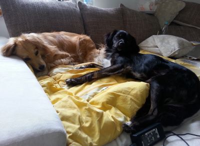 Tiggy und Spring