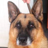 Walter